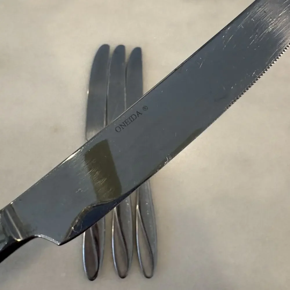 Oneida SIMMER Stainless Glossy Frosted Swirl Dinner Knife Set of 4, 9.5 Inches